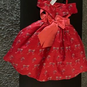 Disney princess Elena of Avalor dress